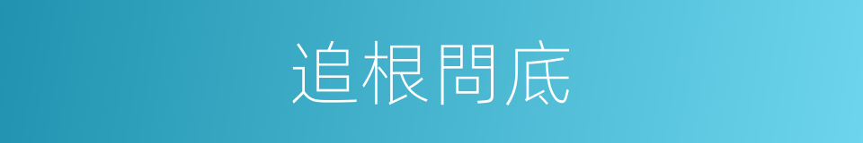 追根問底的意思