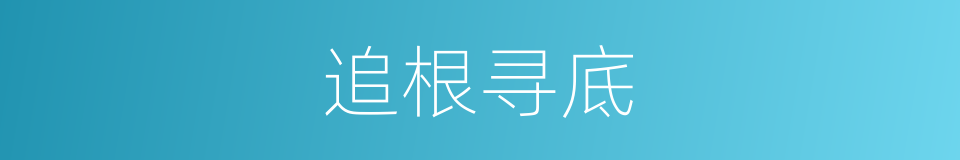 追根寻底的意思