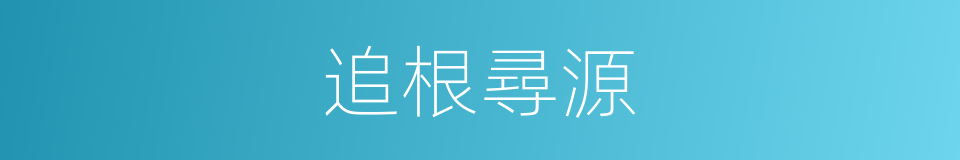 追根尋源的同義詞