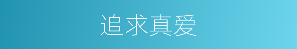追求真爱的同义词