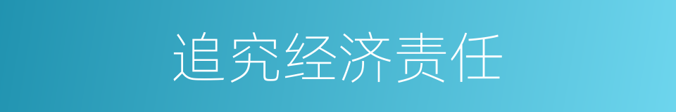 追究经济责任的同义词