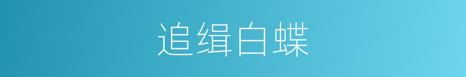 追缉白蝶的同义词