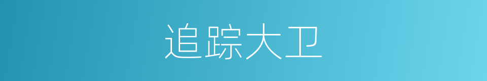 追踪大卫的同义词
