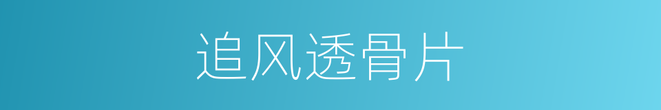 追风透骨片的同义词