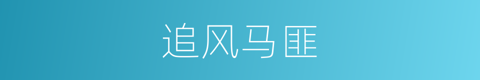 追风马匪的同义词