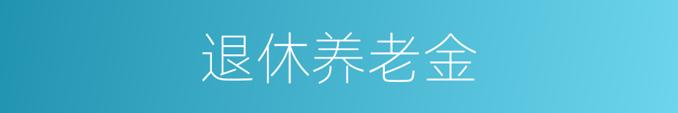 退休养老金的同义词