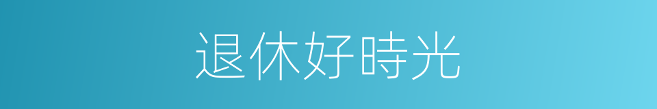 退休好時光的同義詞