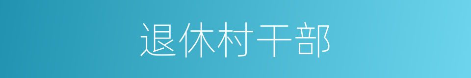 退休村干部的同义词