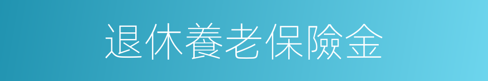 退休養老保險金的同義詞