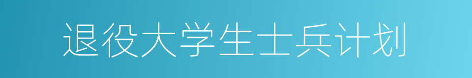 退役大学生士兵计划的同义词