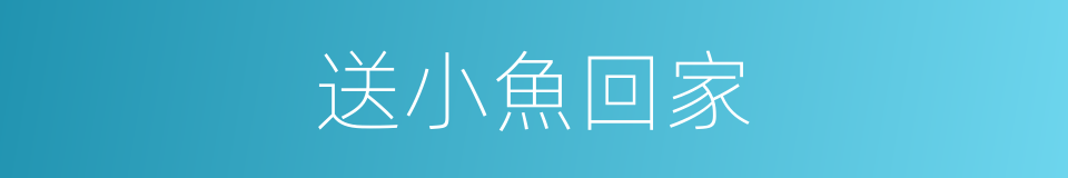 送小魚回家的同義詞