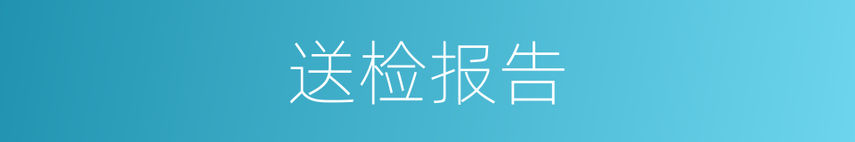 送检报告的同义词