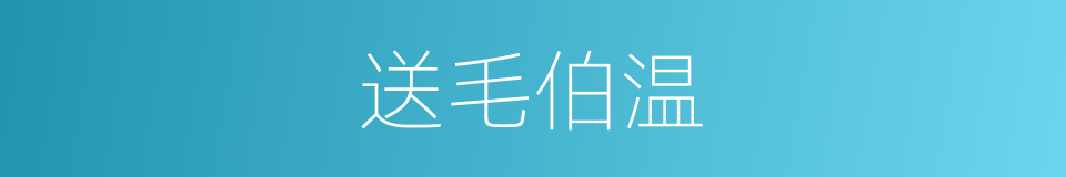 送毛伯温的同义词