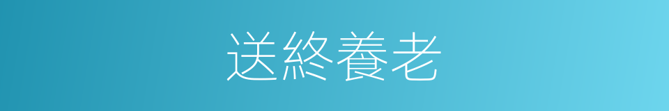 送終養老的意思