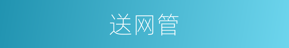 送网管的同义词