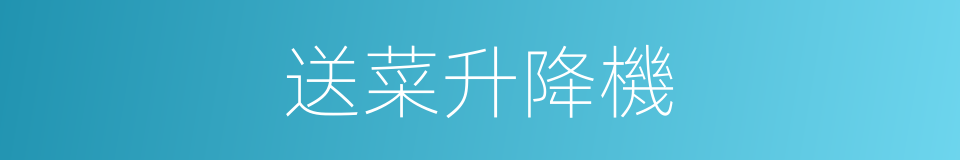 送菜升降機的同義詞
