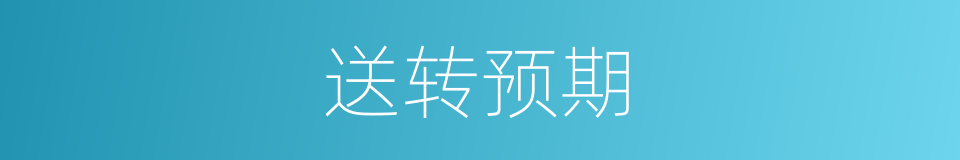 送转预期的同义词