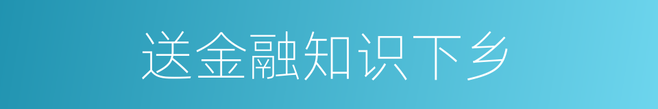送金融知识下乡的同义词
