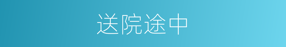 送院途中的同义词