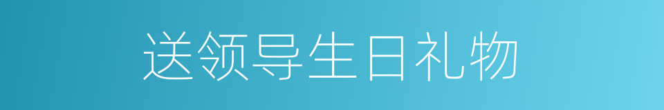 送领导生日礼物的同义词