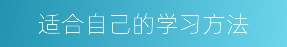 适合自己的学习方法的同义词