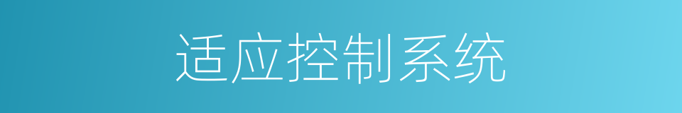 适应控制系统的同义词
