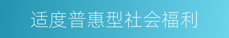 适度普惠型社会福利的同义词