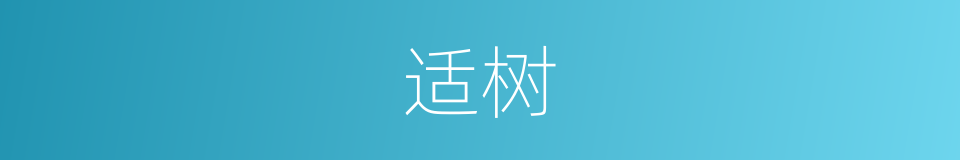 适树的同义词
