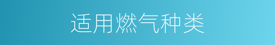 适用燃气种类的同义词