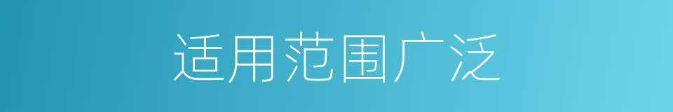 适用范围广泛的同义词