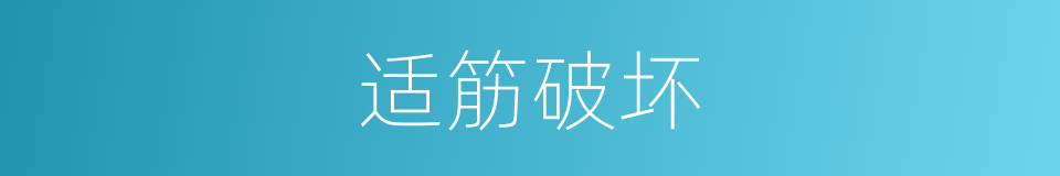 适筋破坏的同义词