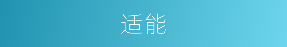 适能的同义词