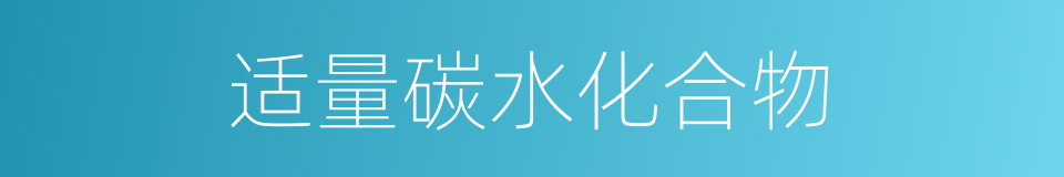 适量碳水化合物的同义词