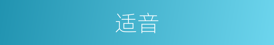 适音的意思