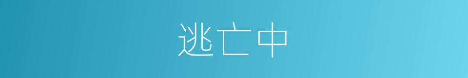 逃亡中的同义词