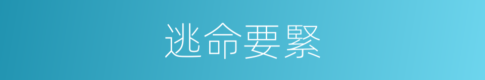 逃命要緊的同義詞