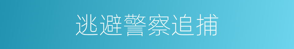逃避警察追捕的同义词
