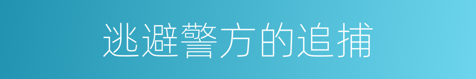 逃避警方的追捕的同义词