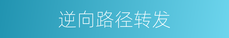 逆向路径转发的同义词