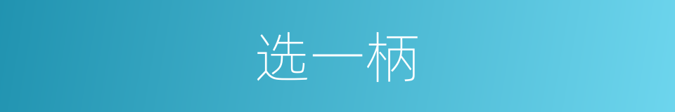 选一柄的同义词