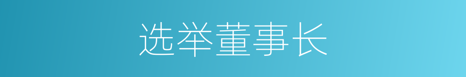 选举董事长的同义词