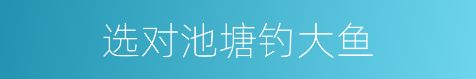 选对池塘钓大鱼的同义词