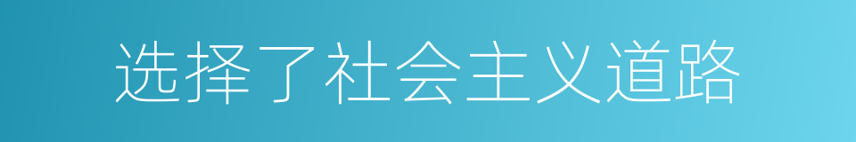 选择了社会主义道路的同义词