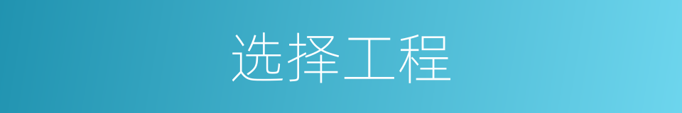 选择工程的同义词