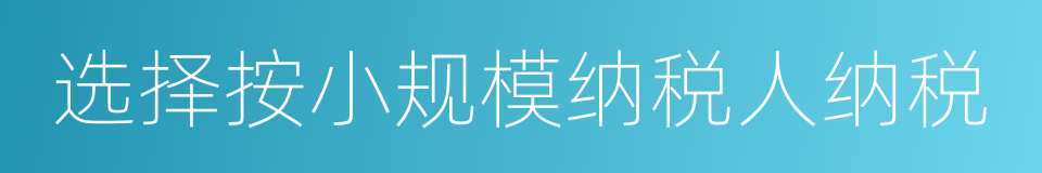 选择按小规模纳税人纳税的同义词