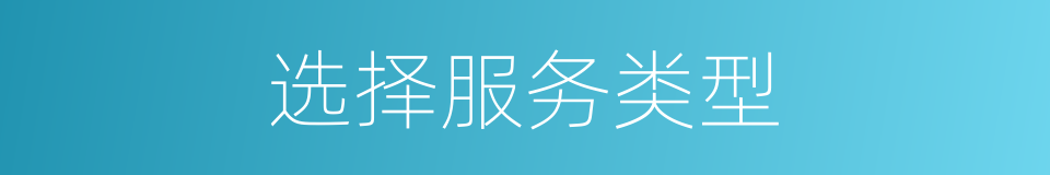 选择服务类型的同义词