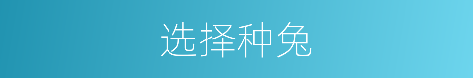 选择种兔的同义词