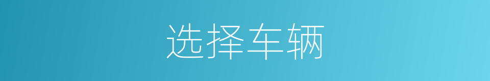 选择车辆的同义词