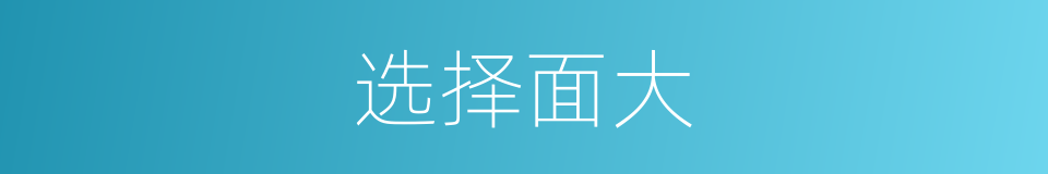 选择面大的同义词