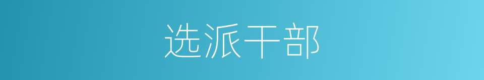 选派干部的同义词